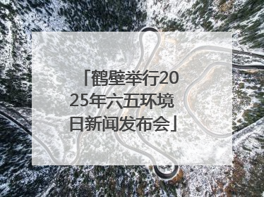 鹤壁举行2025年六五环境日新闻发布会