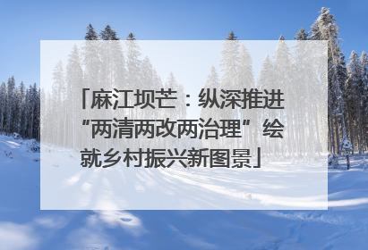 麻江坝芒：纵深推进“两清两改两治理”绘就乡村振兴新图景