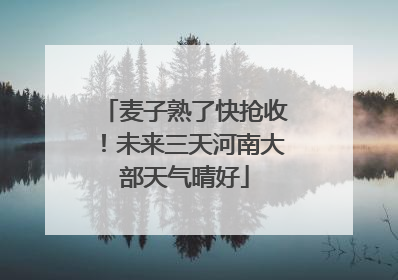 麦子熟了快抢收！未来三天河南大部天气晴好