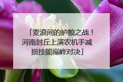 麦浪间的护粮之战！河南封丘上演农机手减损技能巅峰对决