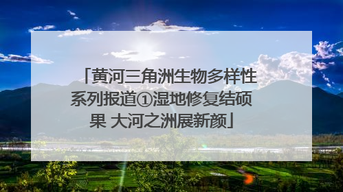 黄河三角洲生物多样性系列报道①湿地修复结硕果 大河之洲展新颜