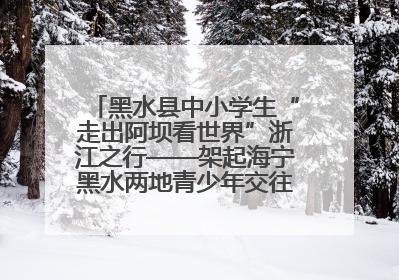 黑水县中小学生“走出阿坝看世界”浙江之行——架起海宁黑水两地青少年交往交流交融新桥梁