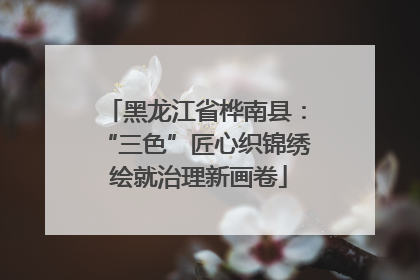 黑龙江省桦南县：“三色”匠心织锦绣 绘就治理新画卷