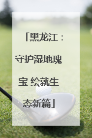 黑龙江：守护湿地瑰宝 绘就生态新篇