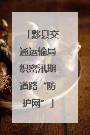 黟县交通运输局织密汛期道路“防护网”