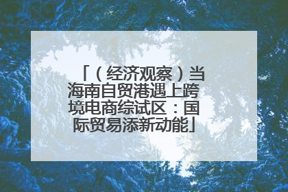（经济观察）当海南自贸港遇上跨境电商综试区：国际贸易添新动能