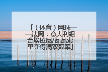（体育）网球——法网：意大利组合埃拉尼/瓦瓦索里夺得混双冠军
