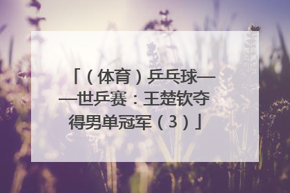 （体育）乒乓球——世乒赛：王楚钦夺得男单冠军（3）