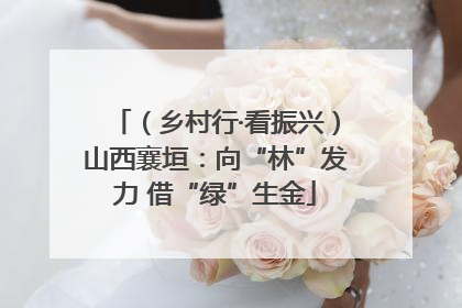 （乡村行·看振兴）山西襄垣：向“林”发力 借“绿”生金