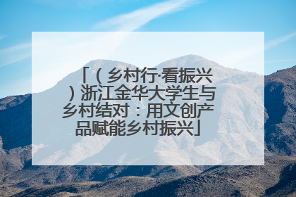 （乡村行·看振兴）浙江金华大学生与乡村结对：用文创产品赋能乡村振兴