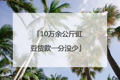 10万余公斤豇豆货款一分没少