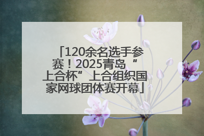 120余名选手参赛！2025青岛“上合杯”上合组织国家网球团体赛开幕