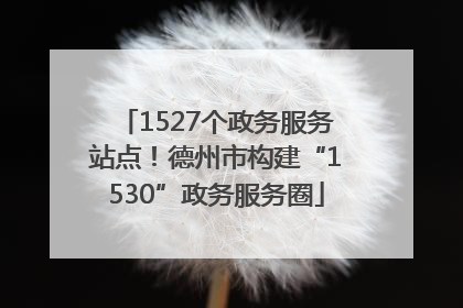 1527个政务服务站点！德州市构建“1530”政务服务圈