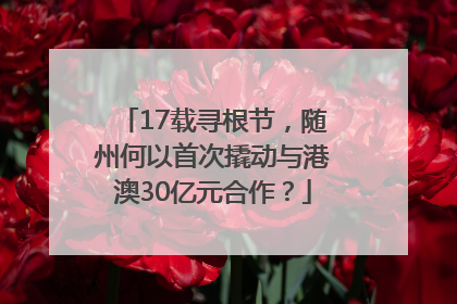 17载寻根节，随州何以首次撬动与港澳30亿元合作？