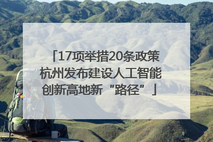 17项举措20条政策 杭州发布建设人工智能创新高地新“路径”