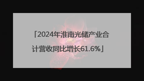 2024年淮南光储产业合计营收同比增长61.6%