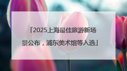 2025上海最佳旅游新场景公布，浦东美术馆等入选
