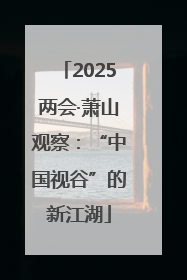 2025两会·萧山观察：“中国视谷”的新江湖