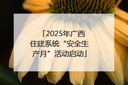 2025年广西住建系统“安全生产月”活动启动