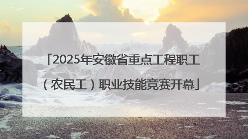 2025年安徽省重点工程职工（农民工）职业技能竞赛开幕