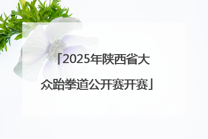 2025年陕西省大众跆拳道公开赛开赛