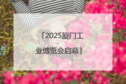 2025厦门工业博览会启幕