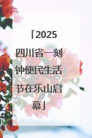 2025四川省一刻钟便民生活节在乐山启幕