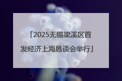 2025无锡梁溪区首发经济上海恳谈会举行