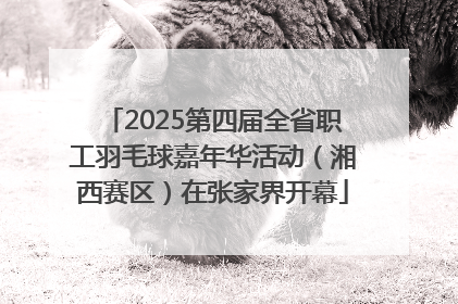 2025第四届全省职工羽毛球嘉年华活动（湘西赛区）在张家界开幕