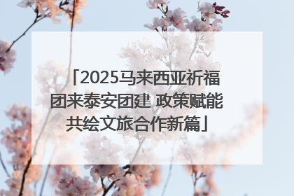 2025马来西亚祈福团来泰安团建 政策赋能共绘文旅合作新篇
