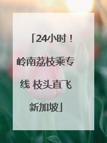 24小时！岭南荔枝乘专线 枝头直飞新加坡