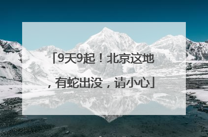 9天9起！北京这地，有蛇出没，请小心