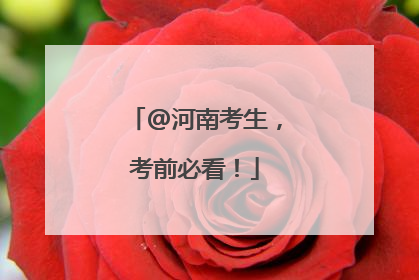 @河南考生，考前必看！