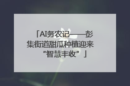 AI务农记——彭集街道甜瓜种植迎来“智慧丰收”