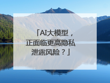AI大模型，正面临更高隐私泄露风险？