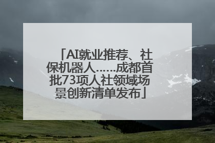 AI就业推荐、社保机器人……成都首批73项人社领域场景创新清单发布