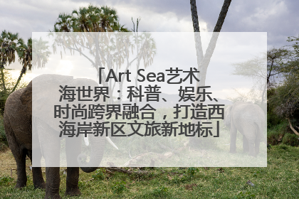 Art Sea艺术海世界：科普、娱乐、时尚跨界融合，打造西海岸新区文旅新地标