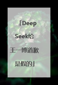 DeepSeek给王一博道歉是假的