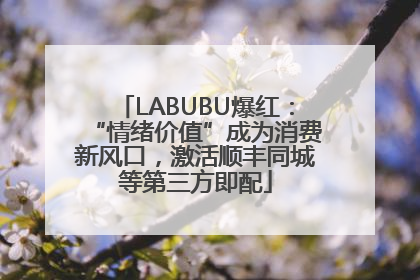LABUBU爆红：“情绪价值”成为消费新风口，激活顺丰同城等第三方即配