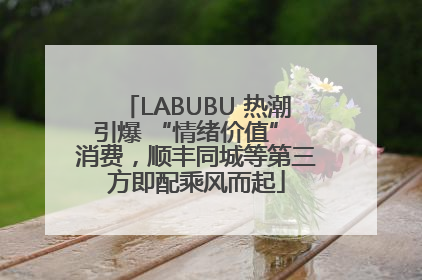 LABUBU 热潮引爆 “情绪价值” 消费，顺丰同城等第三方即配乘风而起