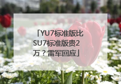 YU7标准版比SU7标准版贵2万？雷军回应